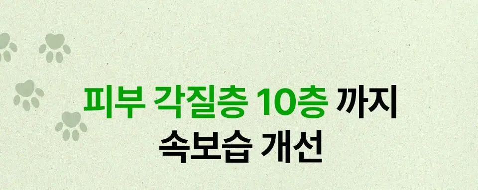 [콜라보/한정기획] 아이소이 모이스춰 닥터 장수진 수분 마스크 3+1매 기획 (+스티커 증정) 상세페이지 16